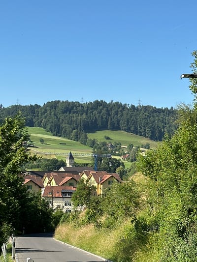 This image captures a sunny, rural-like scene in the city of Wald (ZH), Switzerland. In the foreground, a grey asphalt road curves away from the viewer, bordered by overgrown grass and foliage. A black metal post with white markings is visible on the left side of the road. The middle ground features a cluster of yellow houses with reddish-brown tiled roofs, partially obscured by lush green trees. Behind the houses, a church tower with a dark spire stands out against a backdrop of rolling green hills. Further in the distance, a dense, dark green forest covers the upper slopes of a hill. Power lines and pylons are visible against the clear blue sky. A construction crane is also present, suggesting ongoing development in the area. The overall impression is one of a peaceful, semi-rural setting bathed in bright daylight.