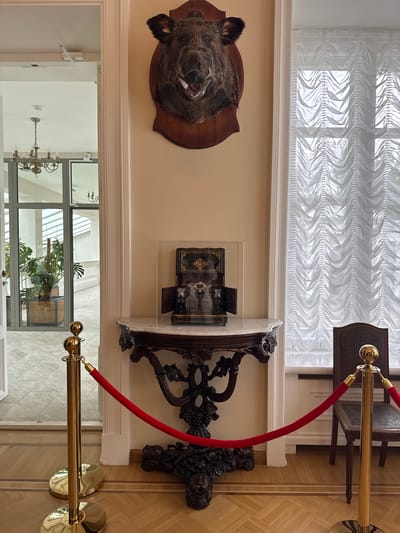 The image shows an interior setting. On the wall, a taxidermied wild boar head is mounted to a wooden plaque. To the right of the boar head is a black wooden cabinet containing some items and placed atop a decorative black wooden table. A red rope barrier is present in the foreground, attached to two golden stanchions on the floor. Beyond an open doorway, a chandelier and a large indoor plant are visible. The location is likely within a building in Добасненскі сельскі Савет, Belarus.