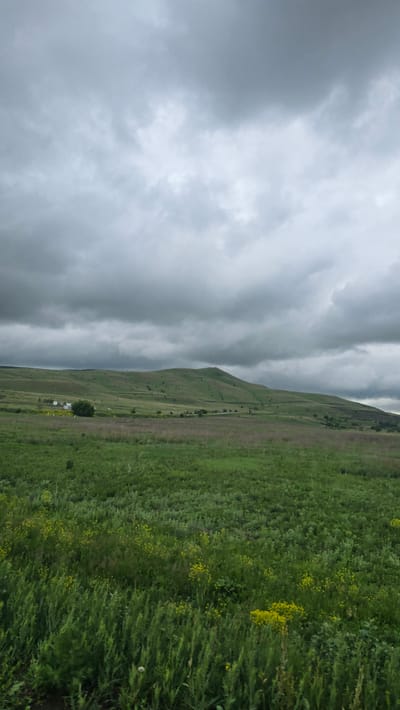 The image captures an expansive, verdant landscape under a heavily overcast, grey sky, depicting a rural area in or near Кама-Исмагилово, Russia.

The upper two-thirds of the frame are dominated by dense, varied grey cloud formations, indicating diffused light and a cool, possibly damp, atmospheric condition. Towards the center of the sky, patches of lighter grey suggest areas where clouds are less thick.

In the midground, gently rolling, verdant green hills stretch horizontally across the frame. The hillsides are covered in grasses and sparse trees or shrubs. Faint tracks or pathways are visible winding along the contours of the hills, particularly on the central and rightmost slopes. On the lower slopes of the leftmost hill, a small cluster of white buildings with dark roofs is discernable, accompanied by a single, prominent, dark green deciduous tree. A slender, dark communication tower or similar vertical structure stands on the peak of the hill towards the right side of the image.

The foreground consists of a dense, vibrant green field of tall grasses and other herbaceous vegetation. Numerous small yellow wildflowers are scattered throughout this field, particularly visible in the lower left and right portions of the frame. The immediate foreground shows a slight variation in plant height and density.

No people, animals, or active interactions are visible within the scene. The overall impression is one of a quiet, pastoral setting under a somber sky.