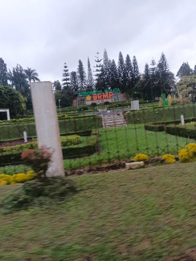 The image displays a multi-tiered, landscaped park scene under an overcast sky. A large, prominent sign on a distant hillside bears the text "AGROWIDYA WISATA" in green letters above "BRMP" in orange letters, set against a dark base. Behind this sign, a dense line of tall, conical evergreen trees forms a backdrop. The foreground and mid-ground feature manicured green lawns arranged in terraces, demarcated by neatly trimmed hedges. A central set of stone steps ascends the hillside towards the main sign. Various small shrubs with reddish foliage and clusters of bright yellow flowering plants are visible in the lower garden sections. A tall, light-colored rectangular pillar stands vertically in the left mid-ground. No individuals are present. The image exhibits mild motion blur, particularly in the lower left, consistent with being captured from a moving vantage point. No visual indicators within the image confirm the location as Masaiti, Zambia.