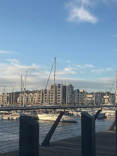 A daytime photograph captures the Chatham Maritime marina in Gillingham, United Kingdom, under a clear blue sky with scattered cirrus clouds. The foreground shows a dark wooden decking surface and partially obscured dark metallic railing components, including a horizontal bar and a wire mesh infill. In the midground, numerous white-hulled sailboats and motor yachts are moored in rows on calm, dark blue water. Multiple bare masts of varying heights are prominent, with at least two small birds perched on mastheads. The background features a continuous line of modern, multi-story residential buildings characterized by light-toned facades, angular architectural elements, and recessed balconies. A distant, tree-covered landmass is visible behind the structures. No people or active interactions are discernible.