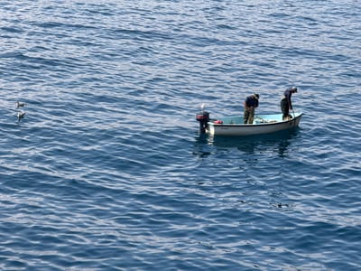 Two men in a small fishing boat are at sea near Mers El Hadjadj, Algeria. The boat has an outboard motor and is filled with fishing nets. The men are both wearing blue shirts and waders, and appear to be tending to their nets. Two seagulls are floating in the water to the left of the boat. The water is calm and blue, with small ripples on the surface. The sky is not visible in the frame.