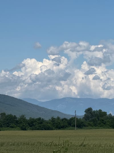 This vertical outdoor daytime image, captured in Zimnitsa, Bulgaria, presents a layered landscape under a dynamic sky. The upper portion of the frame features a clear blue sky that transitions downwards into a vast formation of dense cumulus clouds, primarily white and various shades of grey. In the mid-ground, a series of mountain ranges recede into the distance; the closest range is dark green and heavily wooded, sloping from left to right, while subsequent ranges appear progressively lighter blue-grey due to atmospheric perspective. A dense line of dark green trees forms a horizontal band in front of the mountains, with a single, dark utility pole standing vertically in the lower right quadrant, positioned in front of this tree line. The foreground is occupied by an extensive field of green cereal crops, such as wheat or barley, showing textural detail. No people, animals, or explicit human activity are visible in the scene.