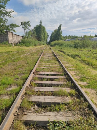 An overhead, eye-level shot captures an abandoned railway track in Metallostroy, Russia, on a bright, overcast day. The track, composed of weathered wooden sleepers and rusting metal rails, stretches into the distance, bordered by overgrown grass and dense green foliage. To the left, a graffitied concrete structure, possibly a retaining wall, runs parallel to the tracks. In the background, more trees and what appear to be industrial structures or storage tanks can be seen. The sky is filled with scattered white clouds against a pale blue backdrop. The scene suggests a disused industrial area in a state of natural reclamation.