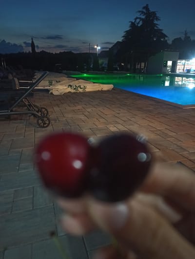 The image captures two cherries being held in a person's hand. The cherries are dark red and appear ripe. The foreground is dominated by the cherries and the person's hand, which is slightly out of focus. In the background, a brick wall is visible, with some of the bricks illuminated by a blue and green light. Further in the background, there's a silhouette of trees and a building with illuminated windows. The overall scene suggests an outdoor setting at dusk or night, given the artificial lighting and the darkening sky.
On the wall, a white umbrella with a green logo and text is hanging. Partially visible text on the umbrella includes "SBY". The scene appears to be in an urban or semi-urban environment, possibly near a building or a public space where such lighting and a brick wall would be common. The cherries being held suggest a moment of casual enjoyment, perhaps of a snack. The lighting creates a somewhat atmospheric mood.
