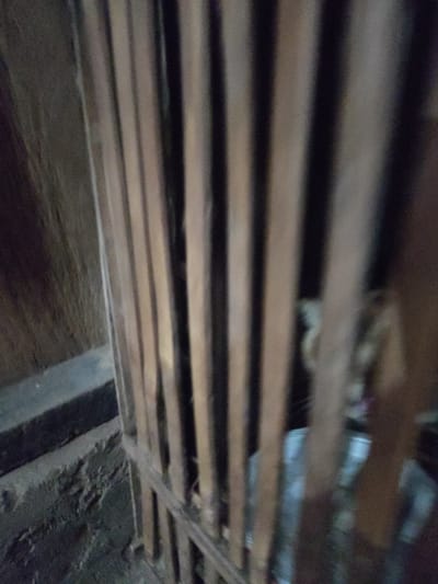 The image shows a close-up, blurred view of vertical wooden slats, resembling bars. Behind the slats, a blurry figure of a person is partially visible, wearing light-colored clothing that appears to be a shirt. The background is dark and indistinct. The scene appears to be indoors, possibly in a dimly lit area. No specific details about Ngentrong, Indonesia, are discernible from the image itself.