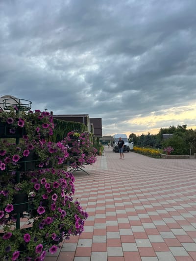 The image shows an outdoor scene in Yaroslavskaya, Russia, featuring a paved walkway with a red and grey checkered pattern. To the left, vertical planters overflowing with vibrant purple petunias line the walkway, creating a lush floral display. In the background, several buildings with tiled roofs are visible, partially obscured by dense green foliage. A white van with its door open stands on the paved area. A man wearing a black t-shirt and denim shorts is standing near the van, looking towards the left. Further down the walkway, other individuals can be seen walking in the distance. The sky above is filled with dramatic, heavy grey clouds, suggesting overcast weather or approaching rain. The overall impression is one of a well-maintained outdoor space, possibly a garden or courtyard, under a moody sky.