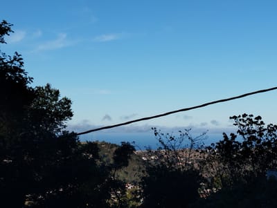 This is a landscape image taken from a high vantage point, likely overlooking a residential area. The sky is a clear, bright blue with a few wispy clouds. A thick, black power line cuts diagonally across the upper half of the image, from the top left to the bottom right. In the foreground, the silhouettes of dark green trees and bushes obscure much of the view. Beyond the trees, the middle ground consists of a hilly terrain with scattered houses and buildings, some with lights visible. In the distance, a body of water, possibly the ocean, is visible under a hazy sky. The overall impression is one of a scenic view from a hillside, possibly during the late afternoon or early evening given the lighting. The location is identified as Arucas, Spain.