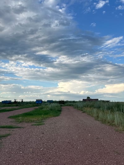 An outdoor, eye-level, vertical shot shows a gravel path leading into a field of tall green grass and scattered blue, boxy structures. The path is composed of small, reddish-brown pebbles. In the background, several blue, rectangular structures, some appearing to be old train cars or storage containers, are spaced throughout the field. A lone tree stands in the distance, near a low, rusty-brown building. The sky above is a dramatic mix of bright blue patches and thick, dark gray clouds. The overall impression is that of an abandoned or remote industrial site on the outskirts of a rural area, possibly in the region of Баягиз, Kazakhstan.