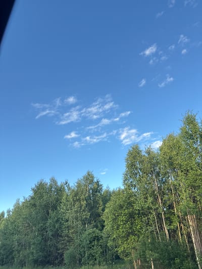 This media file is a photograph of a natural scene. The main subjects are a clear blue sky with scattered wispy white clouds and a dense line of tall green trees with birch-like trunks. The trees dominate the right side of the image, creating a vertical line of foliage. The sky fills the left and upper portions of the frame. The lighting suggests it is daytime, likely late morning or early afternoon, with bright sunlight illuminating the scene. There are no people or visible text in the image. The composition is tilted, with the horizon line appearing to be vertical. The scene depicts a peaceful, outdoor setting, possibly a forest edge or a park in Makaryev, Russia, given the provided location context. The weather appears to be fair and sunny.