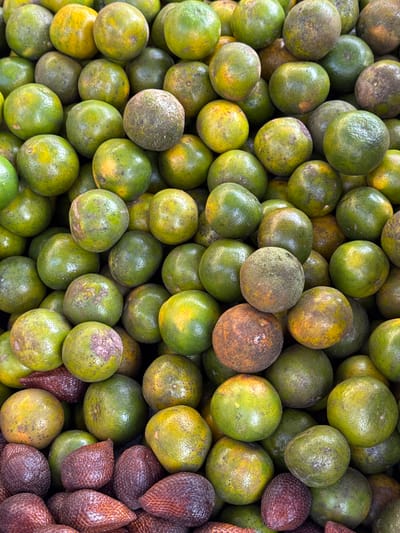 The image shows a close-up, overhead view of a pile of fresh produce, likely at an outdoor market. The foreground is dominated by a collection of rough-skinned, reddish-brown fruits, possibly salak or snake fruit, with their distinctive scales clearly visible. Above these, a large quantity of round, green-skinned citrus fruits, likely oranges or mandarins, are piled high. Some of these citrus fruits exhibit yellowing or patches of brown, indicating varying degrees of ripeness or blemishes. The lighting is natural, suggesting it was taken during the day. The overall impression is one of abundance and freshness. The scene is devoid of people and specific identifiable environmental features that would pinpoint a location within Karangsambung, Indonesia, beyond it being a place where such produce is sold.