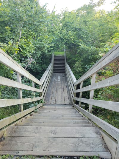 A weathered wooden staircase with railings ascends between dense green foliage. The stairs appear to be constructed from planks of wood, showing signs of age and exposure to the elements. The railings are also wooden, with a simple design. The staircase leads into a wooded area where the trees form a thick canopy overhead, filtering the sunlight. The scene appears to be in a natural outdoor setting, possibly a park or trail in Valaste, Estonia.