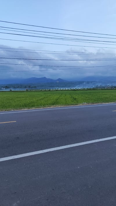 The image captures a tranquil scene along a roadside in Bateiiliek, Indonesia. In the foreground, an asphalt road stretches into the distance, marked by a solid white line and a partially visible yellow line closer to the field. Adjacent to the road is a vibrant green paddy field, extending towards a backdrop of low mountains shrouded in a layer of mist or smoke, partially obscured by clouds. A row of evenly spaced trees punctuates the horizon between the field and the mountains. Above, a pale blue sky is crossed by several sets of electrical or telephone wires. The overall impression is one of rural tranquility juxtaposed with the infrastructure of modern life. No people are visible in the shot.