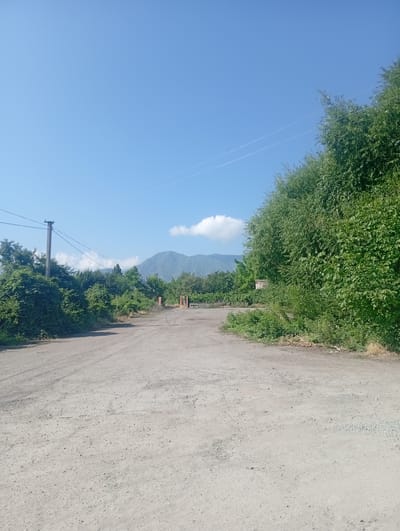 The image depicts an outdoor scene in Tash-Moinok, Kyrgyzstan. A dirt road leads into the distance, flanked by dense green foliage on both sides. In the background, a mountain range is visible under a clear blue sky with a few scattered white clouds. A utility pole with power lines stands to the left of the road. There are no people or animals visible in the frame. The overall impression is one of a rural or semi-rural landscape on a sunny day.