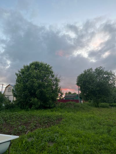 This image depicts a rural scene at dusk in the village of Klobušnevo, Russia. The sky is filled with dramatic clouds, with streaks of pink and orange suggesting the setting sun. In the foreground, a field of green grass and cultivated plants extends across the lower portion of the frame. To the left, a white bathtub is partially visible at the bottom edge. Behind the field, two large, leafy trees dominate the middle ground. To the left of the trees, a light-colored wooden house with a gabled roof and a window is visible. Further to the right, a green building with a red fence in front of it is partially obscured by trees and foliage. Power lines stretch horizontally across the upper left of the image. The overall impression is one of a tranquil, rustic evening in the Russian countryside.