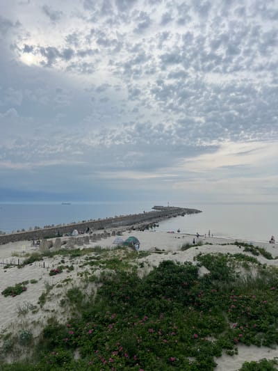 The image depicts a scene at a beach in Baltiysk, Russia, characterized by a breakwater extending into the calm sea under a cloudy sky. The breakwater is constructed from large, irregular concrete blocks and lined with a stone wall on its landward side. On the sandy beach adjacent to the breakwater, several people are present, some walking, others sitting or standing. A few tents are set up on the sand, suggesting a recreational or camping activity. In the foreground, sand dunes are covered with lush green vegetation and dotted with pink wildflowers, adding a natural element to the beach landscape. A large cargo ship is visible on the horizon in the sea. The overall atmosphere appears peaceful and serene, with a diffused light filtering through the overcast sky.