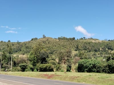 The image depicts a rural landscape within Subukia ward, Kenya, under a clear blue sky with two wispy white clouds.
A two-lane paved road with a dark asphalt surface and a visible white solid shoulder line runs across the foreground, extending from the lower left to the lower right. Adjacent to the road is a grassy verge, exhibiting patches of reddish-brown soil.
In the midground, a dense band of mixed green vegetation, comprising various trees and shrubs, separates the road from the distant terrain. Several wooden utility poles are visible within this vegetation band, supporting overhead lines that traverse horizontally across the scene. Behind the roadside foliage on the right, tall, stalk-like cultivated plants are present.
The background is dominated by a large, steep hill or mountain, extensively covered with dense green trees and lighter vegetation. Faint, indistinct structures, possibly dwellings, are discernible on the lower right slope of the hill.
On the far left side of the grassy verge, a single individual is seated or crouched near one of the utility poles. A two-wheeled vehicle, possibly a bicycle or small motorcycle, is partially visible beside them. The scene is brightly illuminated by natural daylight.