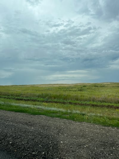 The image depicts an overcast sky with layered clouds over a vast, green, undulating field. A dirt road or path is visible in the foreground, with its dark, granular surface taking up the lower portion of the frame. Beyond the road, the field stretches into the distance, exhibiting variations in green hues and patches of yellow wildflowers. A subtle brown, tilled strip runs horizontally through the middle ground of the field. The scene is devoid of any human presence or discernible structures, suggesting a rural or natural landscape. The provided crops focus on the textures of the clouds and the gravel road, as well as closer views of the field. There is no information available about the location being in Umet, Russia.