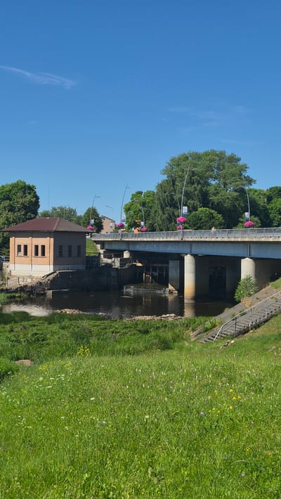 The image shows a wide shot of a river with a bridge crossing it. On the left side of the river, there is a brick building with a red roof. Further left, there are trees and a clear blue sky. The right side of the river is lined with a grassy embankment with small wildflowers. The bridge is supported by concrete pillars and has a metal railing with lampposts and hanging flower baskets along its length. The water beneath the bridge appears to be flowing, with some visible machinery or structures within the river. The overall scene suggests a pleasant, sunny day in a town or city that incorporates a river and green spaces. The photo is oriented vertically, with the sky at the bottom and the riverbank at the top.