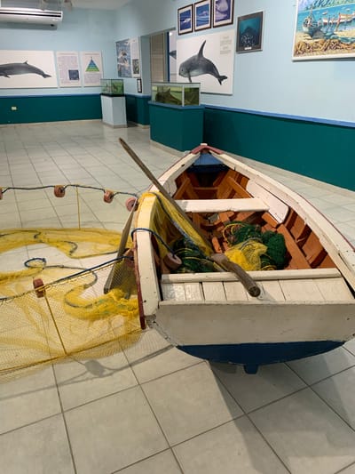 The image depicts an indoor display, likely within a museum or educational institution, located in Boca del Río, Venezuela. The focal point is a wooden fishing boat positioned on a tiled floor. The boat contains fishing nets, some yellow and some green, and a wooden oar. The surrounding walls are painted in light blue and dark teal. Several framed artworks and informational posters are displayed on the walls, featuring marine life such as dolphins and fish. There are also glass display cases containing what appear to be aquatic specimens. An air conditioning unit is visible on the upper left wall. The lighting suggests an indoor setting with overhead illumination.