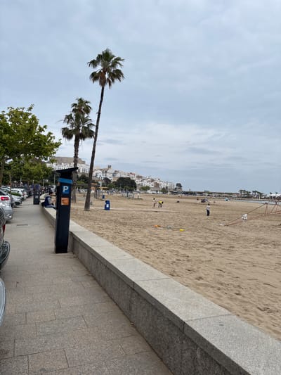 This media file captures a coastal scene, likely in Peníscola, Spain, featuring a wide sandy beach, a promenade, and a town in the background under an overcast sky.
In the foreground, a paved promenade with a grey granite curb separates the walkway from the sandy beach. Several cars are parked along the left side of the promenade, partially visible. Prominently placed on the promenade are two tall palm trees with dense, wind-swept fronds, and a dark-colored parking meter. The parking meter displays a white "P" symbol on a blue square and the "telpark" logo. Green foliage from other trees is also visible near the promenade.
The midground is dominated by a broad, light-brown sandy beach. Scattered across the beach are several individuals, including children. Some appear to be playing with yellow and orange objects (possibly cones or balls), while others walk or stand. A red-framed structure, possibly a volleyball net or similar beach equipment, is visible further down the beach.
In the background, a town composed primarily of white-washed buildings extends along the coastline behind the beach, with some greenery interspersed among the structures. The sea is barely discernible in the far distance. The sky is largely overcast with soft, light grey clouds, suggesting a cloudy but bright daytime. The overall atmosphere is one of leisure and activity on a temperate day.