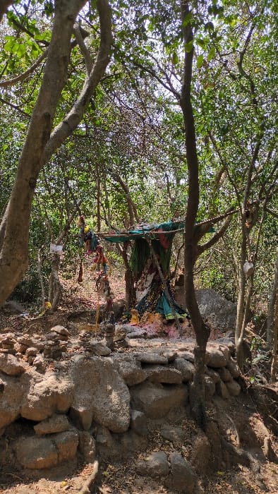 The image depicts a forested outdoor scene in Kadaladi, India, characterized by dense foliage and multiple trees with visible trunks and branches. In the midground, a rudimentary shrine or shelter is constructed from natural branches supporting draped green and other colored fabrics, forming a canopy. Directly below this structure, colorful powders, notably pink and yellow, are scattered on the ground and rocks, indicating ritualistic offerings. To the left of the central shrine, a vertical pole or branch features numerous colorful strips of fabric or garlands hanging downwards. The foreground presents a low, irregularly shaped wall constructed from stacked natural stones, with several small cairns (stacks of smaller rocks) positioned on and behind it. A small white sign is affixed to a tree trunk on the left, and a white object hangs from a branch on the right. No individuals are present in the scene. The ground is dry earth with scattered leaves and small rocks, illuminated by dappled sunlight filtering through the canopy.