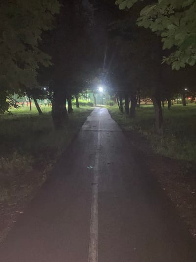 The image depicts a nighttime scene in Cherkessk, Russia. A paved pathway, illuminated by artificial lights, stretches into the distance, bordered by trees and vegetation on either side. The pathway appears to be a part of a park or a walking trail. The overall ambiance is dimly lit, suggesting late evening or nighttime. Some trees are silhouetted against the faint lights, and their leaves are visible, indicating that it is likely summer or early autumn. The presence of streetlights suggests an urban or suburban setting. There are no discernible people or specific objects in the foreground, but faint lights in the background hint at distant buildings or structures. The scene evokes a sense of quiet and solitude, typical of a park at night. The ground is slightly wet, possibly from recent rain, which adds a reflective quality to the paved surface.