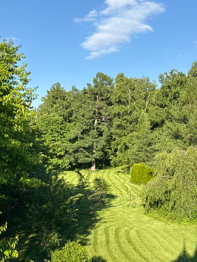 This image captures a vibrant, sunlit outdoor scene, likely a large garden or park located in Sapronovo, Russia. The perspective is slightly elevated, offering a view over extensive greenery bathed in warm light.

The upper portion of the frame showcases a clear, bright blue sky dotted with a few wispy white clouds on the left. The dominant features are the lush green trees and a meticulously maintained lawn. A dense wall of tall, mature trees, primarily deciduous with rich green foliage, stretches across the middle and right side of the image. More varied trees and bushes occupy the foreground on the bottom left.

The sprawling lawn in the mid-ground and lower-right is a striking bright green, displaying distinct striped patterns indicative of recent mowing. Long, dark shadows from the trees are cast across the lawn, extending towards the viewer, suggesting a late morning or early afternoon time of day. Towards the middle-right of the lawn, a small, neatly trimmed, bright green hedge or topiary stands out, with a subtle metal stand or structure visible nearby.

No people or animals are present, and no text is visible. The scene conveys a sense of tranquility and natural beauty, highlighting a well-kept landscape under a clear, sunny sky.