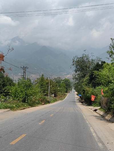 The image depicts a long, asphalt road traversing a rural or semi-rural area within the city of Bình Lư, Vietnam, under an overcast sky. The road, marked with yellow dashed center lines and yellow painted rumble strips in the foreground and midground, slopes downwards and recedes into the distant mountainous landscape.
On the immediate left side of the road, a dirt shoulder transitions to dense green vegetation, including banana plants and various trees. Multiple utility poles with power lines run parallel to the road, with one prominent dark pole visible in the midground. Beyond the foliage, terraced fields or cultivated areas are discernible against the lower slopes of the distant mountains.
On the immediate right side, a dirt shoulder and a concrete drainage ditch are present. This side is also characterized by thick green vegetation, including bamboo-like plants. A small structure covered with a blue tarp is visible in the midground, suggesting a roadside stall. Further along this side, several red Vietnamese flags, each bearing a yellow star, are affixed to a fence or structure, partially obscured by the foliage.
In the far distance on the road, multiple indistinct figures on what appear to be motorbikes or scooters are visible, traveling away from the viewer.
The background is dominated by a series of large, forested mountains, partially obscured by mist or low-hanging clouds, blending with the grey, uniformly cloudy sky. Overhead, multiple dark power lines stretch across the upper portion of the frame, with bare branches of a tree featuring reddish leaves visible in the upper left corner.
