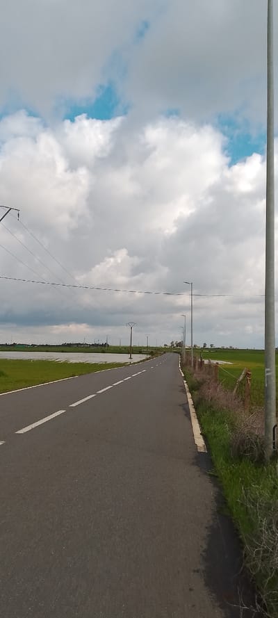 The image displays a straight asphalt road receding into the distance within the rural area of Oumazza, Morocco. White dashed lines mark the road's center, and a continuous white line delineates the right edge, bordered by a curb. To the left, a large expanse of green fields is partially submerged under standing water, reflecting the overcast sky. Multiple electricity pylons with overhead power lines are visible in the middle ground on the left, with distant structures beyond the fields. On the right side of the road, a strip of green grass and dry scrub precedes a dilapidated wooden fence constructed from posts and wire mesh. Beyond this fence are additional green, waterlogged fields. A series of modern streetlights with slender grey poles and horizontal fixtures line the right side of the road, extending towards the horizon. A tall, thick grey pole occupies the far right foreground, partially cut off at the top of the frame. The sky is predominantly covered by a mix of large white and grey clouds, with patches of bright blue sky visible. The scene is devoid of people, animals, or active vehicles.