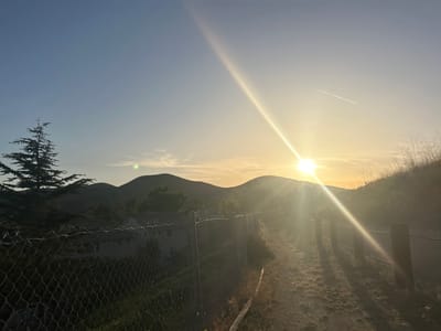 The image depicts a sunlit trail in Oak Park, United States of America, with hills visible in the background. A chain-link fence borders the left side of the path, alongside a building partly obscured by vegetation. On the right side of the path, a wooden post and rope fence runs parallel to the trail. The sun, positioned high in the sky, casts a strong glare and long shadows. A faint contrail is visible in the upper-right section of the sky. A pine tree is visible in the left side of the image.