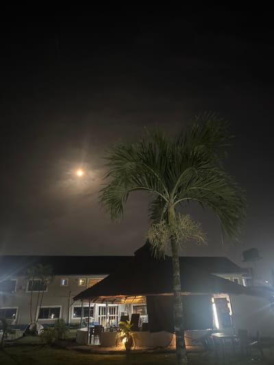 The image depicts a serene nighttime scene, likely captured in Rumuomasi, Nigeria. A tall palm tree and a multi-story building are the primary subjects, illuminated by both natural moonlight and artificial building lights.
On the left side of the frame, a prominent palm tree stands, its fronds clearly visible and slightly silhouetted against the dark sky. Near the crown of the tree, some flowering or fruiting structures are noticeable. The moon, positioned towards the center-left, shines brightly through a thin layer of clouds or atmospheric haze, creating a soft, luminous halo that diffuses its light across the sky.
To the right, a building, possibly a hotel or residential complex, occupies a significant portion of the scene. Several windows are illuminated from within, indicating occupancy and activity. Bright artificial lights emanating from and around the building create noticeable lens flares, particularly at the top and bottom right. Visible features of the building include what appear to be balconies or outdoor seating areas with tables and chairs on its lower levels. A strip of green grass is visible along the base of the building.
The image conveys a tranquil, peaceful atmosphere, characteristic of a tropical evening. No people or specific activities are explicitly visible, but the lit windows suggest human presence within the building. No visible text is identifiable in the image.