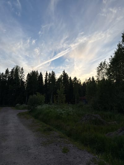The image captures a natural landscape at dusk, likely in the vicinity of Lebyazh'e, Russia. In the foreground, a gravel path winds its way from the lower left corner, curving towards the right and disappearing into the dense foliage. To the right of the path, tall grasses and wildflowers create a vibrant, untamed meadow. Further back, a thick forest of dark evergreen and deciduous trees forms a natural backdrop, silhouetted against a pale, overcast sky. Wispy cirrus clouds stretch across the sky, illuminated by the fading sunlight. A subtle hint of human presence is discernible within the treeline – a dark, rectangular structure, possibly a building or shed, is partially visible through the dense vegetation. The overall impression is one of peaceful, natural beauty, undisturbed by human activity.