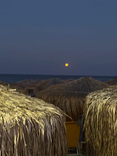 The image captures a serene twilight scene on a beach in Toroni Municipal Unit, Greece. In the foreground, several thatched beach umbrellas are visible, their dry, straw-like material creating a textured, warm-toned barrier. The umbrellas are densely packed, suggesting a public beach area. Behind them, the calm sea stretches towards the horizon, meeting a deep blue, twilight sky. High in the sky, a bright, round, orange moon is prominently displayed. The overall atmosphere is peaceful and tranquil, indicative of the end of the day. No people are discernible in the image.