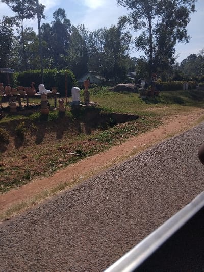 This image depicts an outdoor roadside scene in Butsotso central ward, Kenya, under bright daylight conditions. In the lower right foreground, a grey, granular paved surface, consistent with a road, occupies the frame, with a silver metallic bar partially visible along its bottom edge, suggesting the photograph was taken from inside a vehicle. Adjacent to the paved surface, an unpaved, reddish-brown dirt shoulder with sparse green grass and dry vegetation extends along the road's edge.
The midground presents an elevated display area. On the left, a wooden table holds numerous reddish-brown terracotta pots and pottery items, including animal-shaped figures. To the right of this table, two distinct white animal sculptures, likely lions, are positioned on individual pedestals constructed from stacked terracotta pots. Additional terracotta pots are scattered on the surrounding ground, which features patches of green grass and exposed soil. A dirt path or bare earth area is visible beyond the immediate display.
The background is dominated by a dense canopy of various green trees. Partially visible light-colored roofs of structures are discernible within the tree line, indicating nearby dwellings. The sky above is clear, exhibiting a light blue hue with scattered white clouds. No people or active interactions are visible in the scene.