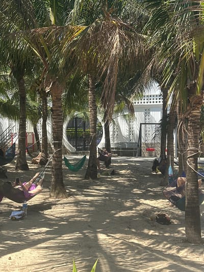 A sun-drenched beach scene features numerous palm trees, their fronds casting dappled shadows on the sand. A white building with geometric designs stands in the background. Hammocks are strung between several trees, holding people. Objects like towels and bags are scattered around. The overall ambiance suggests a relaxed, tropical setting.