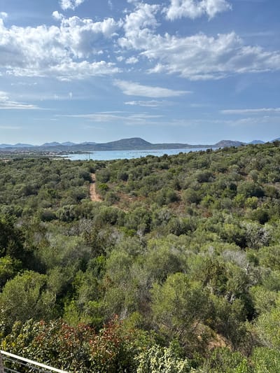 An expansive, elevated view overlooks a verdant, hilly landscape with a body of water in the distance, under a partly cloudy sky. The foreground and middle ground are densely covered with a variety of green shrubs and trees, creating a textured carpet of foliage. A narrow, sandy path winds its way through the vegetation, ascending towards the distant water. In the background, a calm, blue bay is dotted with several sailboats. Along the coastline, low-lying buildings form a settlement, with a range of hazy, blue-toned mountains forming the horizon. The sky is a pale blue, with scattered white and grey clouds, some of which are elongated and wispy, while others are more voluminous. The lighting suggests a bright, sunny day. The scene depicts a natural coastal environment, characteristic of Loiri-Porto San Paolo, Italy.
