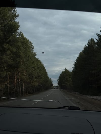 The image captures a view from inside a moving vehicle traveling on a road through a dense forest under an overcast sky. The primary subject is a paved road stretching into the distance, marked with white dashed lines indicating lanes. On both sides, the road is bordered by a thick coniferous forest with tall, dark green trees.
The sky above is filled with light grey, unbroken clouds, suggesting an overcast day with diffused lighting. A prominent, dark, and blurry object, possibly an insect flying close to the lens or a smudge on the windshield, is visible against the sky in the upper-middle portion of the frame.
On the right side of the image, a dark grey interior panel of the vehicle is visible, likely part of a door or dashboard. A small, black, curved component, possibly a side mirror housing or a trim piece, is also seen attached to this panel. There is some indistinct lettering or branding on the grey panel, but it is not clearly legible.
Faint outlines of other vehicles can be discerned in the far distance on the road, indicating light traffic. The scene depicts travel through a rural or semi-rural forested area near Zabegalovo, Russia, during daytime hours.