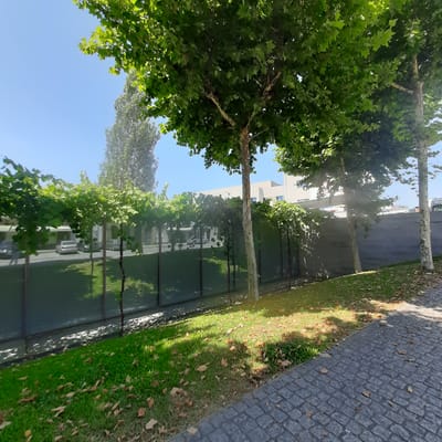 The image shows a tree-lined street with a cobblestone sidewalk in Vila Verde, Portugal. The sun is shining, casting dappled shadows on the grass and sidewalk, suggesting it is daytime. The trees are lush and green, with some fallen leaves on the ground, indicating it might be late spring or early summer.
On the left side of the image, a row of buildings with modern architecture can be seen. Some of them have large windows, reflecting the trees and the sky. A truck or van is partially visible in the reflection of one of the buildings, suggesting a commercial or residential area. The street appears to be relatively quiet, with no people visible.
The overall scene is serene and picturesque, with a strong emphasis on the natural beauty of the trees and the clear blue sky. The combination of the natural elements and the man-made structures creates a pleasant urban landscape. The cobblestone sidewalk and the architectural style of the buildings might suggest a European setting, which aligns with the given location context of Vila Verde, Portugal.
