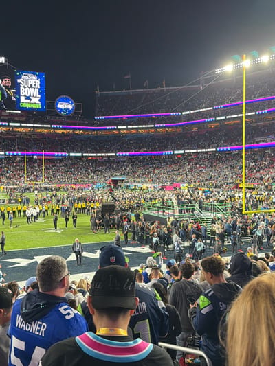 A packed stadium view shows people in the stands, with fans wearing team jerseys. A green football field with figures in dark clothing standing on it is visible below. A giant screen displays the "Super Bowl Champions" logo. Stadium lights illuminate the event, with purple and white lights accentuating the stadium's architecture. A high-angled perspective captures the large crowd and the overall spectacle of the game.