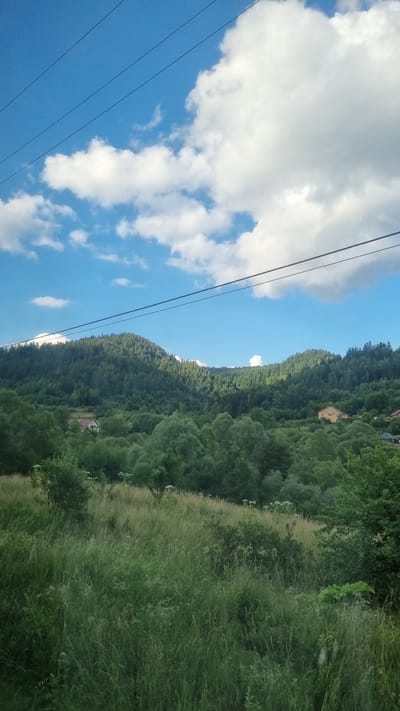 A vast, green valley under a bright blue sky filled with fluffy white clouds. Power lines stretch across the top of the image. Rolling hills covered in dense green trees dominate the middle ground, with two houses visible nestled among the foliage on the slopes. The foreground is a dense field of tall green grass and wild vegetation. The scene is likely captured in the village of Yasenytsia-Zamkova, Ukraine, during daylight hours.