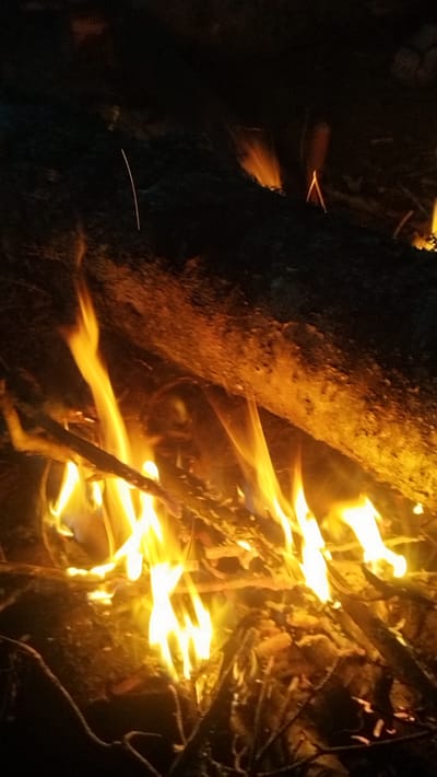 In Tarasovskoe, Russia, a campfire burns brightly at night. The flames are a vibrant orange and yellow, illuminating the surrounding logs and branches. The background is dark and indistinct, suggesting it is nighttime and the fire is the primary light source. The logs are rough and appear to be natural wood, indicating an outdoor setting. Some of the wood is smoldering, with embers glowing amongst the flames. The fire is intense, with flames licking upwards and consuming the fuel. There are no people visible in the image.