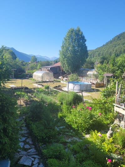 This image depicts a rural backyard scene in Mayna, Russia, on a clear, sunny day. The foreground is dominated by a garden path made of irregular stone slabs, winding through lush green foliage and various garden beds. Several raised garden beds are visible, containing what appear to be vegetable plants and herbs. To the right of the path, a cluster of bright pink peonies adds a vibrant splash of color.

Further into the yard, a silver-framed above-ground swimming pool with clear blue water is set up on a paved base. Adjacent to the pool is a large, transparent greenhouse with a rounded roof. Behind the greenhouse, a rustic-looking wooden house with a reddish-brown roof is visible. The backyard is surrounded by dense green trees and vegetation, with a gentle slope leading up to forested hills in the background. The sky is a clear, bright blue. The scene suggests a residential property with a focus on gardening and outdoor recreation. There are no people or animals visible in the image.