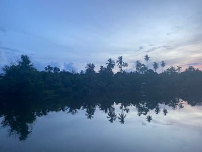 The image captures a serene twilight scene at Aneuk Paya, Indonesia. A dense line of lush green trees, predominantly palm trees, stretches across the horizon, silhouetted against a pale blue and pink sky transitioning from day to night. The foliage is a mix of deep greens and darker, shadowy tones. Below the tree line, a still body of water perfectly mirrors the scene above. The reflections show the palm trees with their distinctive fronds clearly visible, their forms elongated and slightly distorted by the water's surface. The sky itself is a soft gradient of blues and purples, with wispy clouds scattered across it. There are no people or animals visible in the image. The overall impression is one of tranquility and natural beauty at the close of day.