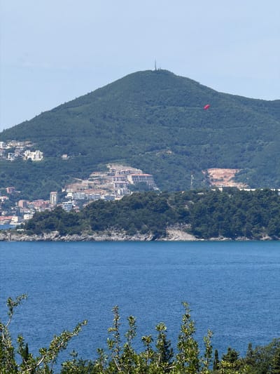 The image depicts a coastal scene in Vrijesno, Montenegro, on a clear, sunny day. In the foreground, lush green foliage with small green fruits partially obscures the view of a vast, tranquil blue sea. The sea extends to a rocky, tree-lined shore in the mid-ground. Beyond the shoreline, a densely populated hillside town is visible, characterized by numerous white and light-colored buildings with red-tiled roofs, many of which appear to be hotels or apartment complexes. The town is nestled against the slopes of a large, verdant mountain that dominates the background. The mountain is covered in dense green trees, with some areas showing signs of construction or land clearing, revealing reddish-brown earth. A solitary red paraglider is visible in the sky, high on the mountain slope. A tall telecommunications tower stands on the peak of the mountain. The sky is a pale blue with a few faint clouds.