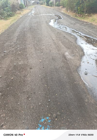 A dusty, gray dirt road stretches into the distance, marked by several puddles of water. The puddles are prominent on the right side of the road, creating a meandering water trail. On either side of the road, there's grassy vegetation. A small village or settlement is visible in the distance, with simple buildings and structures lining the road. In the foreground, a patch of blue spray paint marks the road's surface.