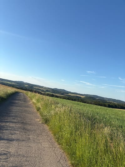 The image depicts a rural landscape under a clear blue sky, likely taken in or near Wershofen, Germany. A narrow, cracked asphalt road curves into the distance on the left side of the frame. To the right of the road, a field of tall, green grass is illuminated by sunlight, casting long shadows. Beyond the grassy field, rolling hills covered with a mix of trees and fields recede into the background, with a few scattered houses visible on the slopes. The overall scene is tranquil and pastoral, suggesting a summer day in the countryside. There are no people or animals visible in the image, and no specific actions or interactions are taking place. The focus is on the natural environment and the simple road leading through it.