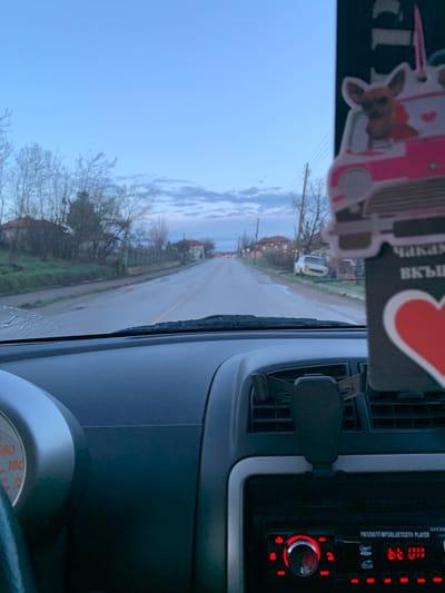 The image depicts a view from the interior of a vehicle looking forward through the windshield onto a road in Erden, Bulgaria, at dusk or early morning. The sky is light blue with scattered grey clouds. The asphalt road appears wet, suggesting recent rain, with visible water droplets on the upper left of the windshield.

On either side of the road, unpaved verges with sparse green grass and bare deciduous trees line the path. Houses with tiled roofs are visible in the mid-ground on both sides, set behind fences. Utility poles with overhead wires run along the right side of the road. A white car is parked on the right verge further down the road. Distant red lights, possibly from other vehicles or streetlights, are visible in the far distance along the road.

Inside the vehicle, the dark grey dashboard occupies the lower foreground. A portion of the steering wheel and an instrument cluster showing numerical markings up to 180 (likely km/h) are visible on the lower left. A black phone mount is clipped to the central air vents. Below the vents, a car stereo with red illuminated controls is visible, displaying "FM/USB/TF/MP3/BLUETOOTH PLAYER" and "bt 011". A large circular volume knob is prominent on the stereo. Hanging from an unseen point above the dashboard is a multi-layered air freshener or ornament. The upper portion of this item features a cartoon image of a chihuahua in a pink car resembling a unicorn. The lower portion is dark with white Cyrillic text, including "ЧАКАМ ВКЪЩИ", and a large red heart at the bottom. No people are visible.
