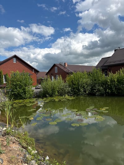This is a vertical, eye-level, outdoor shot of a body of water with lily pads and some yellow flowers. The water is dark green and reflects the sky and surrounding trees. The shore is lined with rocks and vegetation. In the background, there are two brown wooden houses with dark brown roofs, possibly a resort or residential area. The sky is partly cloudy, with patches of blue and some large, dramatic grey clouds. The overall impression is one of a tranquil, natural setting, possibly in a rural area given the houses and landscape. The time of day appears to be daytime, with good lighting, suggesting it could be late morning or early afternoon. There is no visible text in the image. The location context provided is "Салонскі сельскі Савет, Belarus."