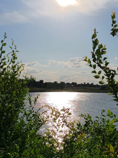 This is a photograph taken in the city of Shyroka Dacha, Ukraine, depicting a sunlit lake scene. The foreground is dominated by lush green foliage on both the left and right sides, framing a view of a calm lake. The sun, high in the sky, creates a bright reflection on the water's surface, causing it to shimmer with an array of sparkling highlights. In the background, a treeline separates the lake from a distant rural landscape, where houses and structures are visible. The sky above is a clear blue, dotted with scattered, soft white clouds. The overall impression is one of a peaceful, natural environment under a bright, sunny sky.